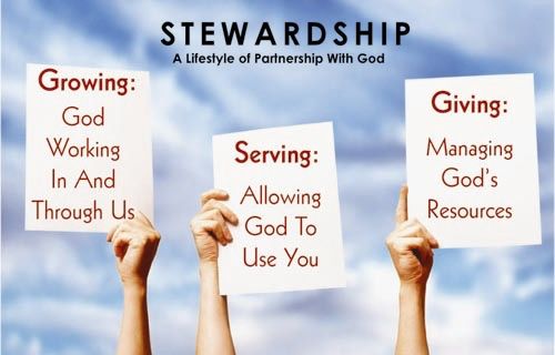 Stewardship Committee